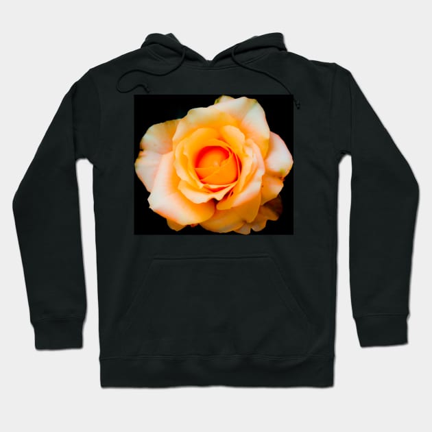 Yellow white rose blossom with orange center Hoodie by kall3bu